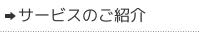 T[rX̂Љ